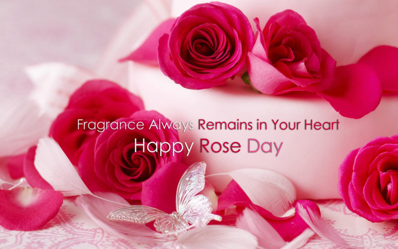 Best Happy Rose Day