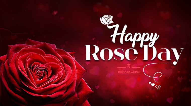 Best Rose Day