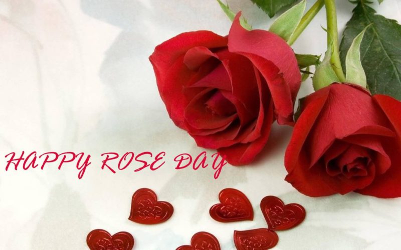 Happy Rose Day Wishes