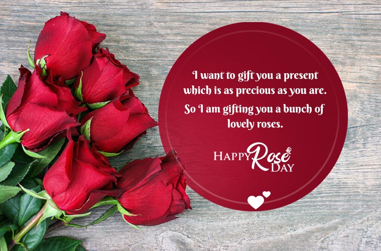 Rose day 