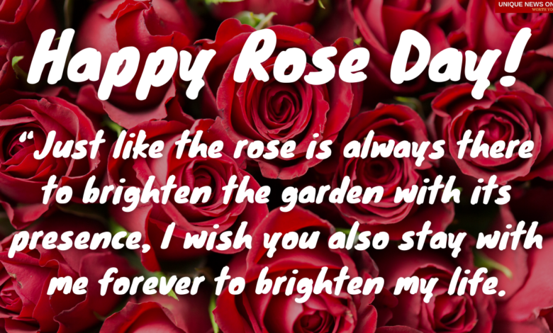 Rose day wish