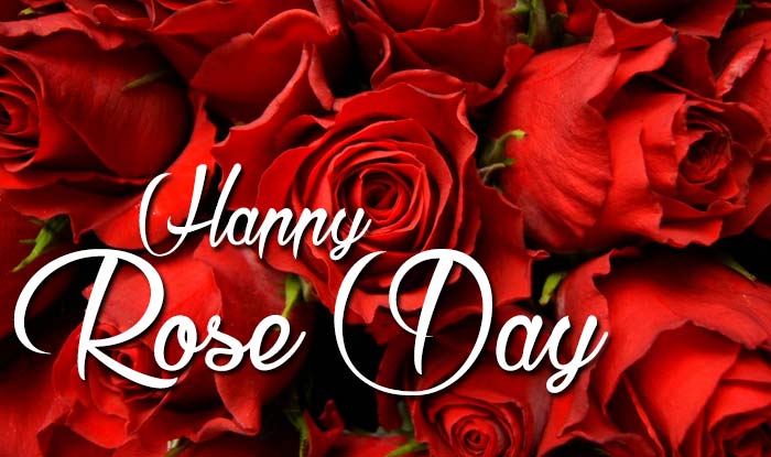 Rose day