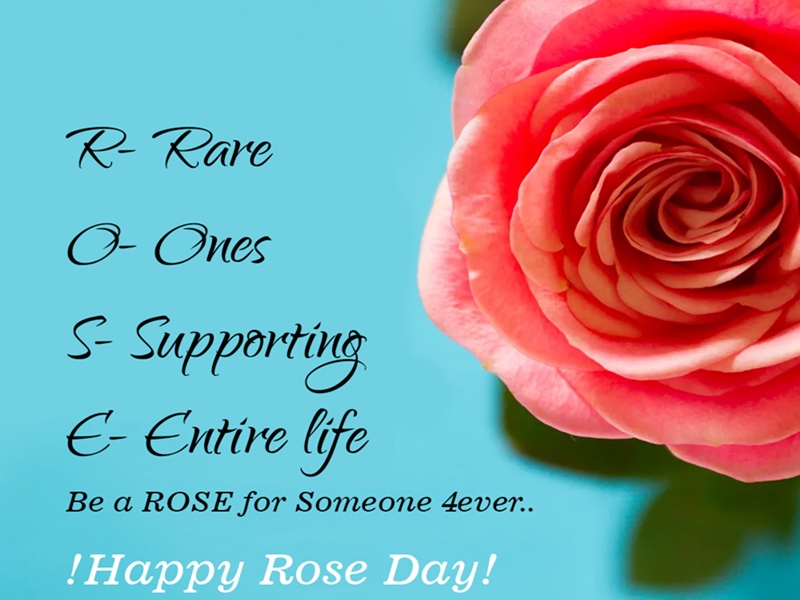 Rose_day_wish